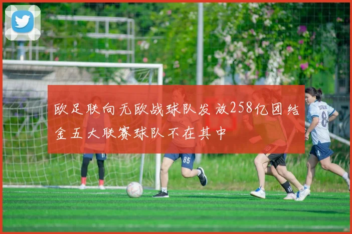 欧足联向无欧战球队发放258亿团结金五大联赛球队不在其中
