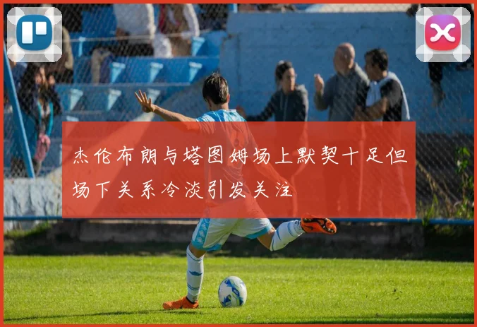 杰伦布朗与塔图姆场上默契十足但场下关系冷淡引发关注