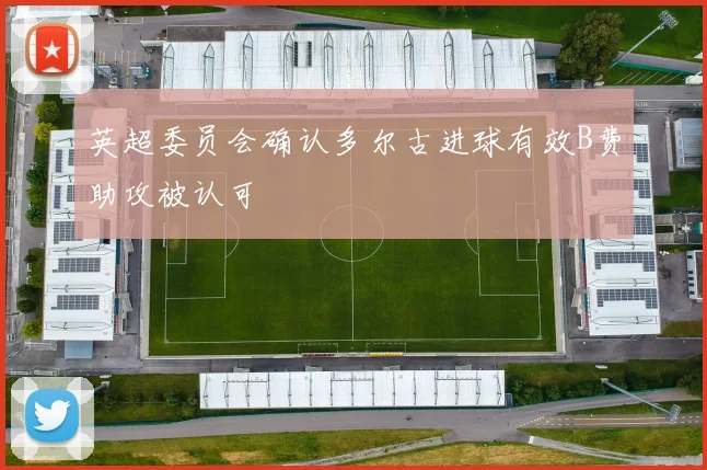 英超委员会确认多尔古进球有效B费助攻被认可